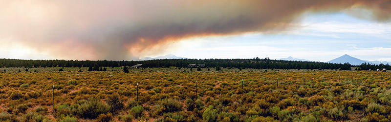 Wildfire Cleanup